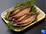 むろ鯵